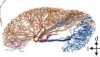 thumbnail image from paper