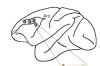 thumbnail image from paper