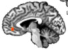 thumbnail image from paper