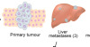 thumbnail image from paper