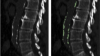 thumbnail image from paper