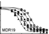 thumbnail image from paper