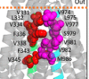 thumbnail image from paper