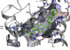 thumbnail image from paper