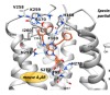 thumbnail image from paper