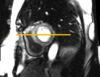 thumbnail image from paper