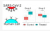 thumbnail image from paper