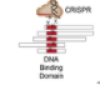 thumbnail image from paper