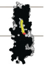 thumbnail image from paper