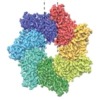 thumbnail image from paper