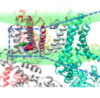 thumbnail image from paper