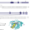 thumbnail image from paper