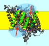 thumbnail image from paper