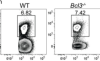 thumbnail image from paper