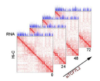 thumbnail image from paper