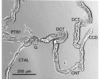 thumbnail image from paper