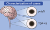 thumbnail image from paper