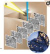thumbnail image from paper