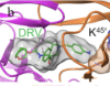 thumbnail image from paper