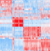 thumbnail image from paper