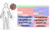 thumbnail image from paper