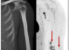 thumbnail image from paper