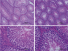 thumbnail image from paper