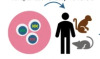 thumbnail image from paper