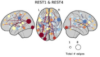 thumbnail image from paper