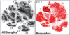 thumbnail image from paper