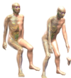 thumbnail image from paper