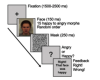 thumbnail image from paper