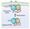 thumbnail image from paper