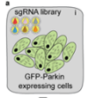 thumbnail image from paper