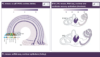 thumbnail image from paper