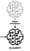 thumbnail image from paper