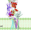 thumbnail image from paper