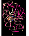 thumbnail image from paper