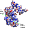 thumbnail image from paper