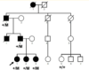thumbnail image from paper