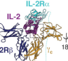 thumbnail image from paper