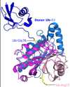 thumbnail image from paper