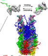 thumbnail image from paper