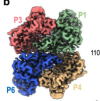thumbnail image from paper