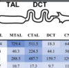 thumbnail image from paper