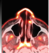 thumbnail image from paper