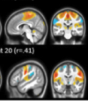 thumbnail image from paper