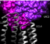 thumbnail image from paper