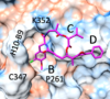 thumbnail image from paper