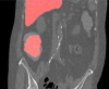 thumbnail image from paper